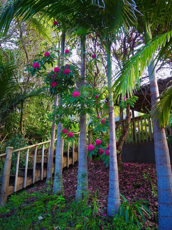 Tastebuds Bed N Breakfast โอ๊คแลนด์ ภายนอก รูปภาพ